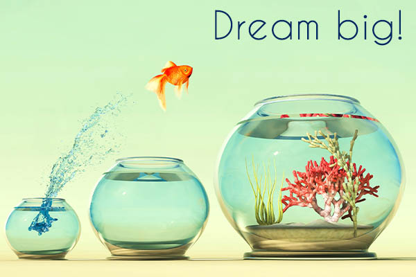 Image shows a goldfish jumping from a small fish bowl over a medium sized fish bowl and into a large fish bowl. Text reads: Dream big!